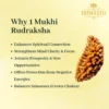 1 Mukhi Rudraksha-3
