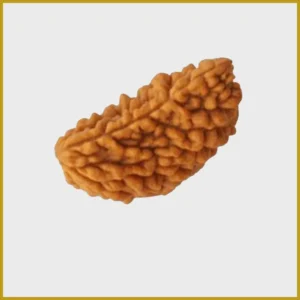 1 Mukhi Rudraksha