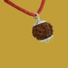 8 Mukhi Rudraksha-4