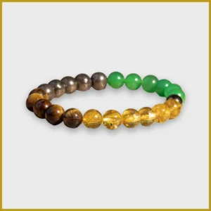 Money Magnet Bracelet