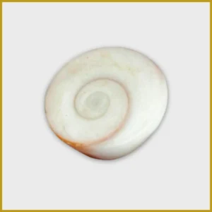Gomti Chakra